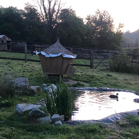 Le Champ Des Possibles Panzió Manerbe Kültér fotó
