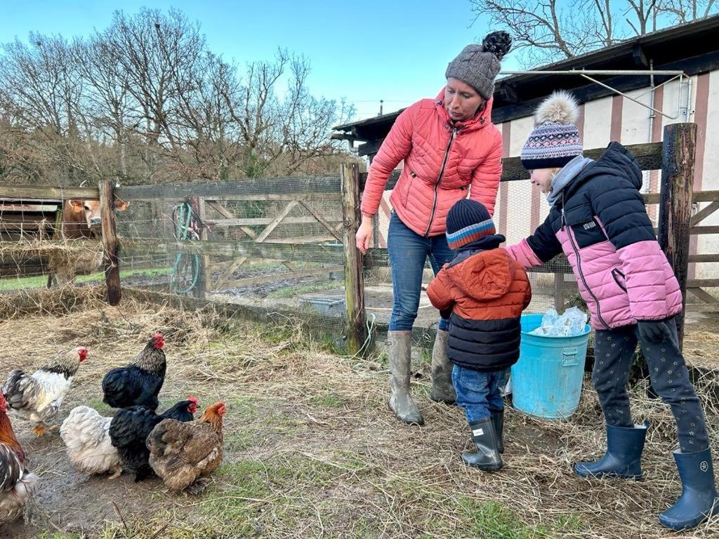 Le Champ Des Possibles Panzió Manerbe Kültér fotó